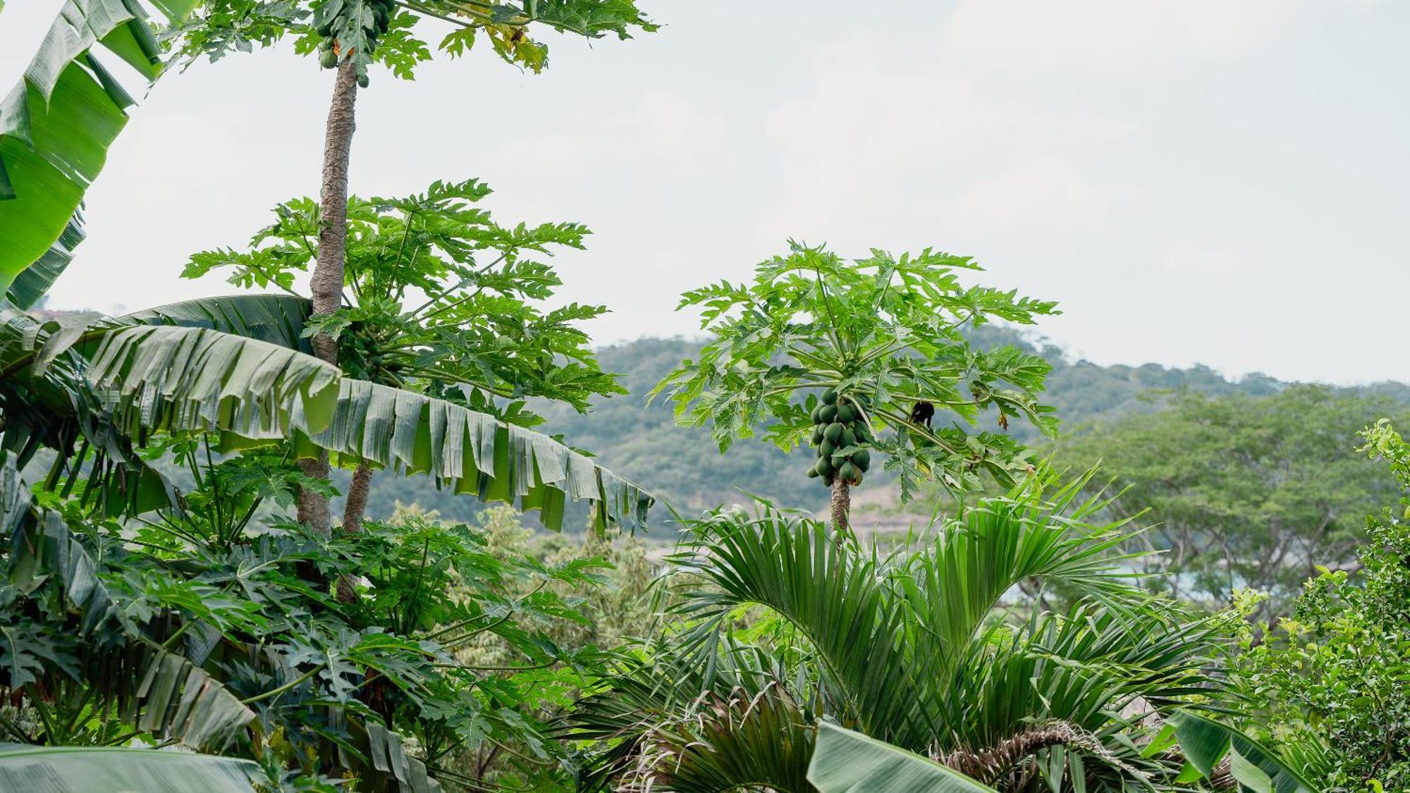 Hotel Eden On The Chocolata San Juan del Sur